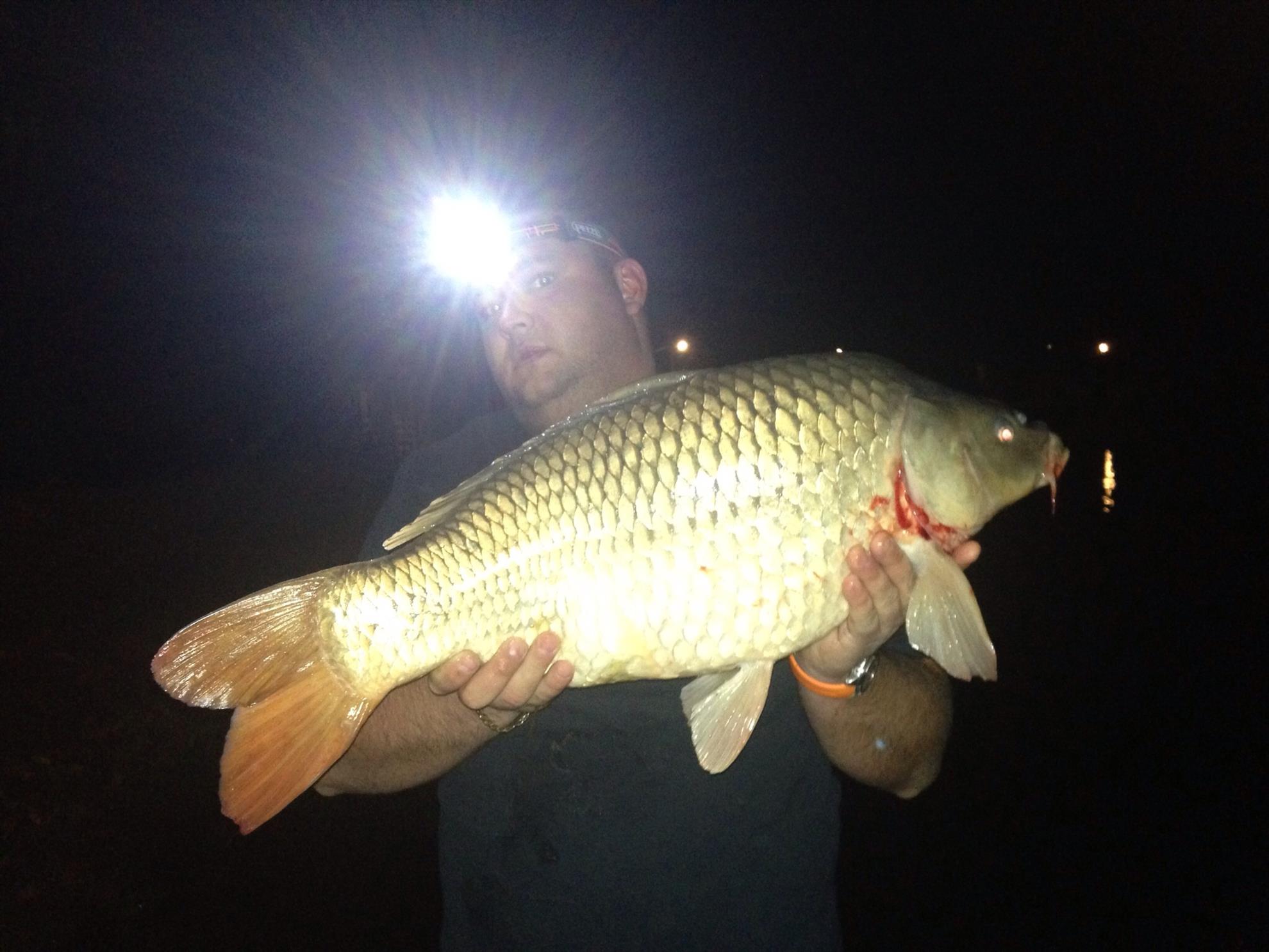 Pleasa 2013 - image111.jpg